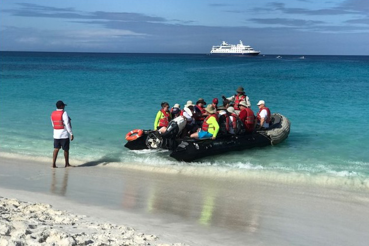 WashU alums on a cruise disembark on shore