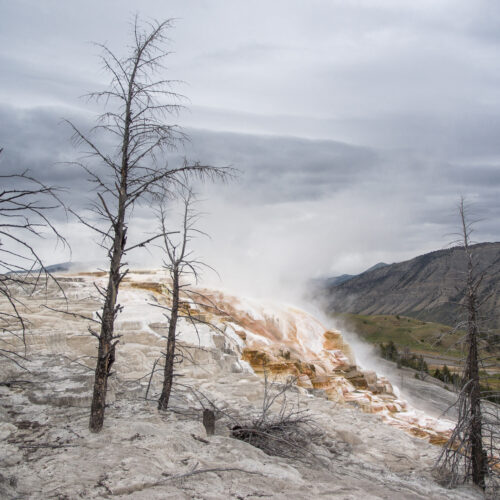 hot spring during winter at Yellowstone National Park