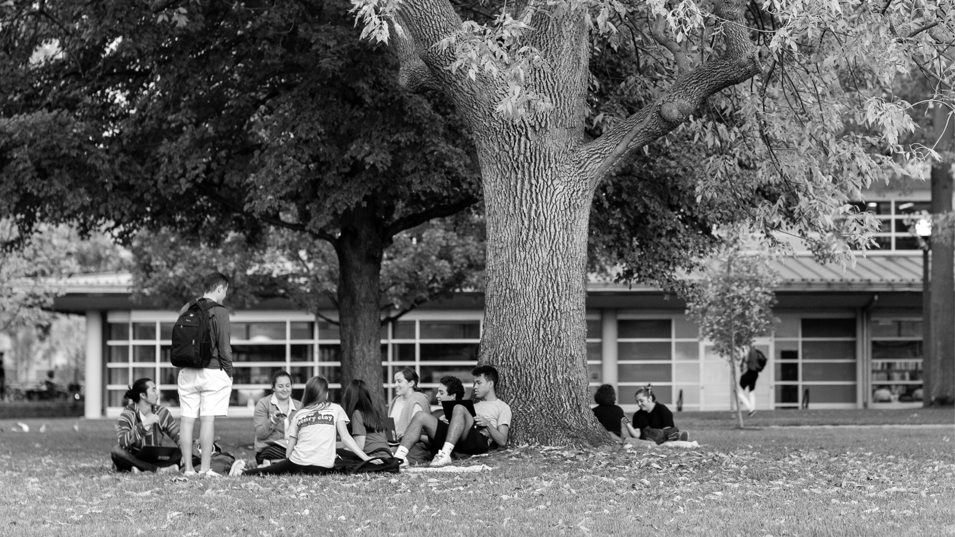 students sitting outside near tree (black and white style)