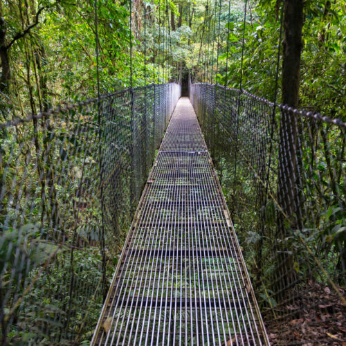 Costa Rica jungle bridge