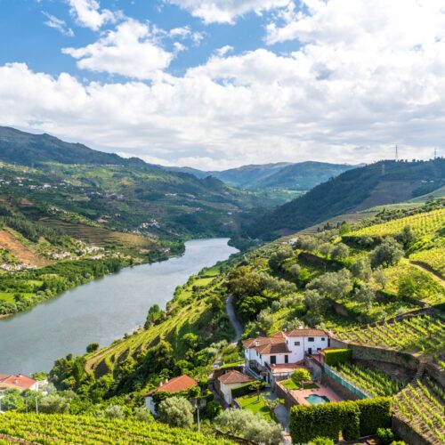 Douro Valley