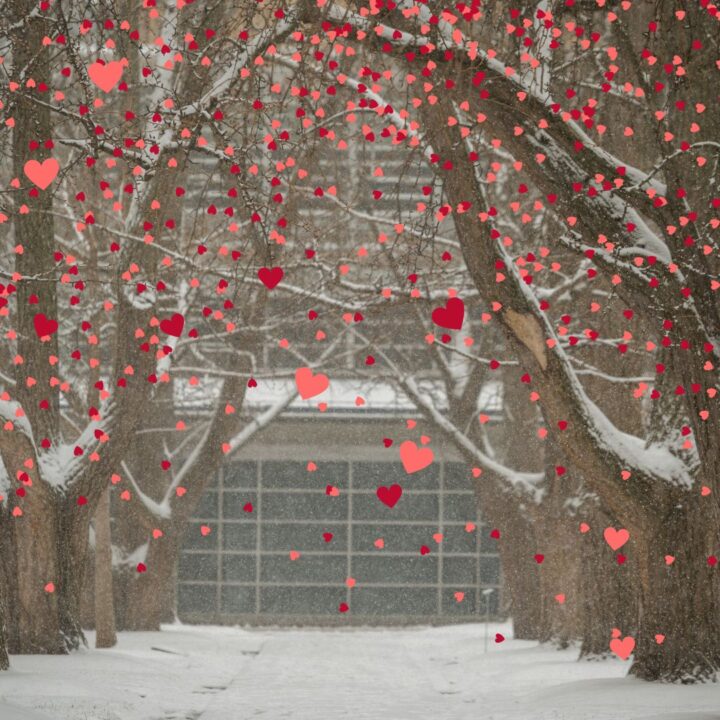 Photo of WashU's Ginkgo Allee in the snow with Olin Library in the background and pink and red hearts falling from the sky