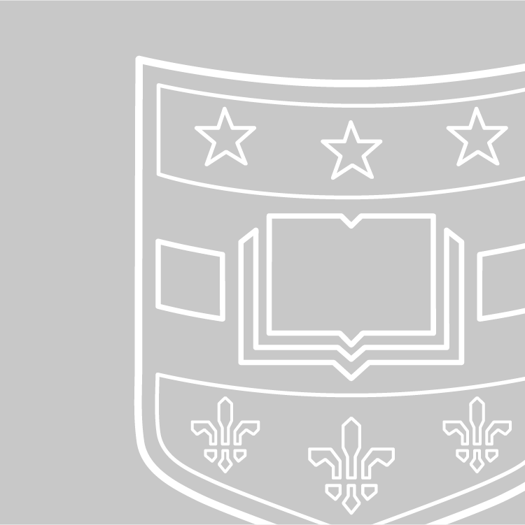 WashU digital shield logo on grey background
